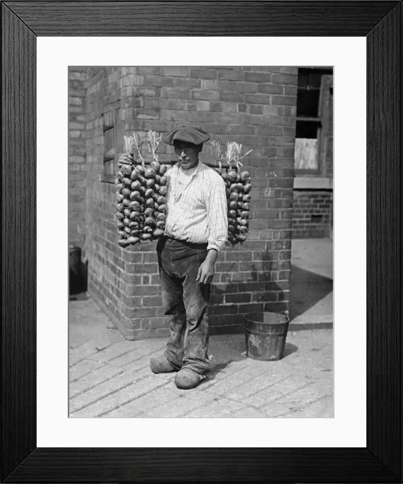 Framed Print : An onion seller. 1st December 1928 Framed Print : An onion seller. 1st December 1928