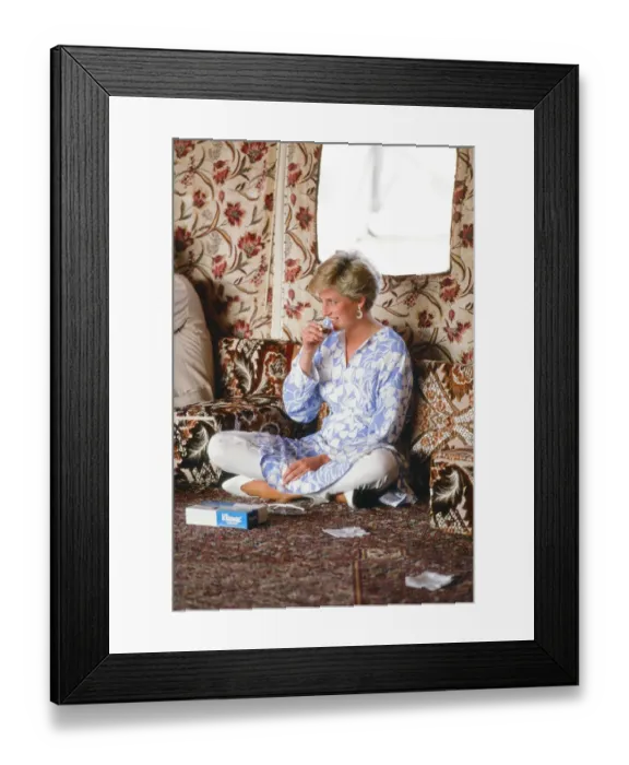 Framed Print : Prince and Princess of Wales, Middle East Tour November 1986