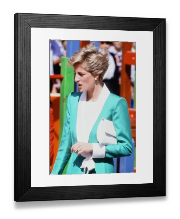 Framed Print : Prince and Princess of Wales, Middle East Tour November 1986