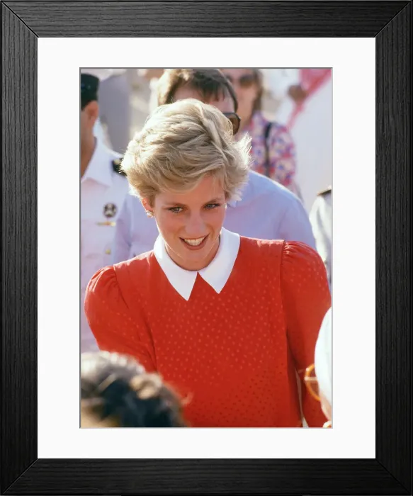 Framed Print : Prince and Princess of Wales, Middle East Tour November 1986 Framed Print : Prince and Princess of Wales, Middle East Tour November 1986