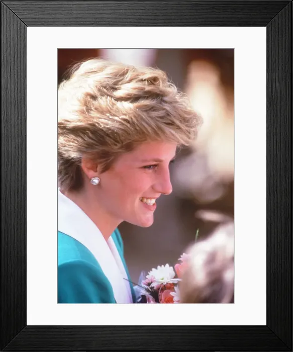 Framed Print : Prince and Princess of Wales, Middle East Tour November 1986 Framed Print : Prince and Princess of Wales, Middle East Tour November 1986