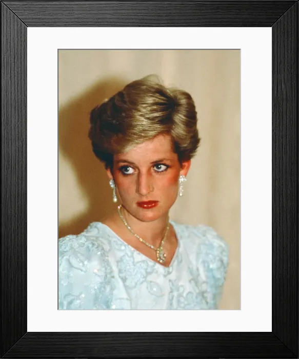 Framed Print : Prince and Princess of Wales, Middle East Tour November 1986 Framed Print : Prince and Princess of Wales, Middle East Tour November 1986