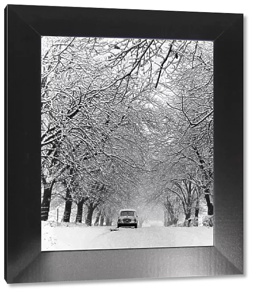A mini car makes its way under an archway of trees mantes with snow, Broughton Road
