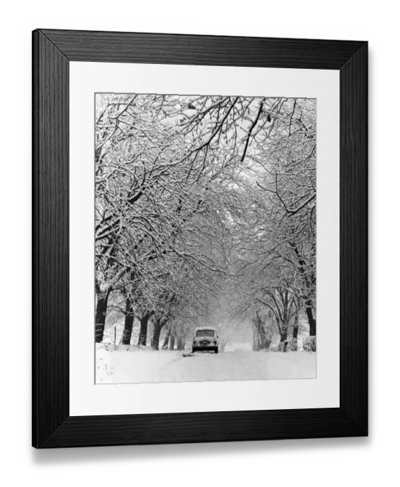 Framed Print : A mini car makes its way under an archway of trees mantes with snow, Broughton Road Framed Print : A mini car makes its way under an archway of trees mantes with snow, Broughton Road