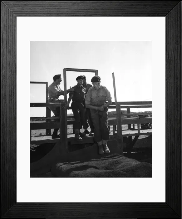 Framed Print : Suez Crisis 1956 British Paratroopers in Cyprus undergoing last minute training Framed Print : Suez Crisis 1956 British Paratroopers in Cyprus undergoing last minute training