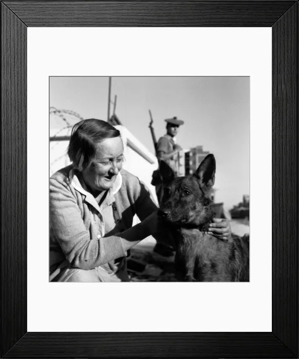 Framed Print : Suez Crisis 1956 56 year old Miss Nora Broach of Dumfries who refuses to be
