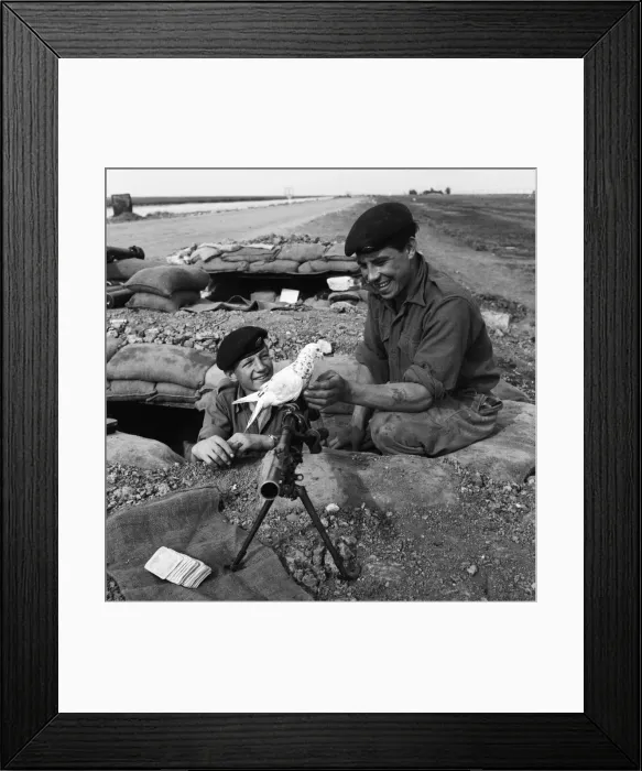 Framed Print : Suez Crisis 1956 British soldiers Peter Hawley (left) and Harry Perkins Framed Print : Suez Crisis 1956 British soldiers Peter Hawley (left) and Harry Perkins