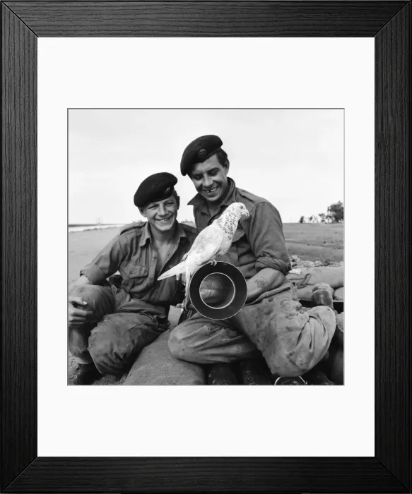 Framed Print : Suez Crisis 1956 British soldiers Peter Hawley (left) and Harry Perkins Framed Print : Suez Crisis 1956 British soldiers Peter Hawley (left) and Harry Perkins