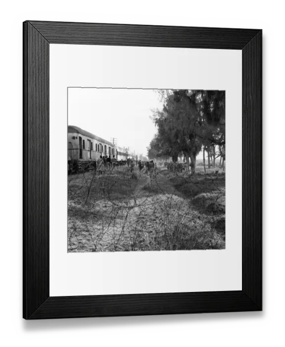 Framed Print : Suez Crisis 1956 Danish troops of the United Nations arrive by train to take over Framed Print : Suez Crisis 1956 Danish troops of the United Nations arrive by train to take over