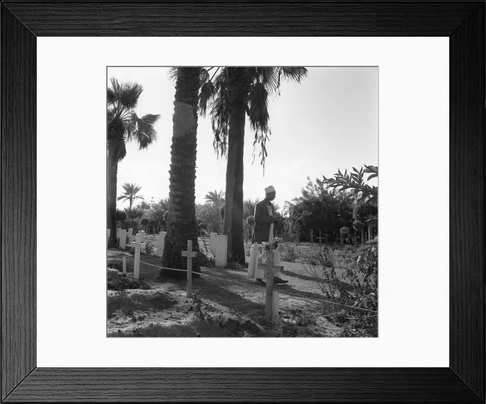 Framed Print : Suez Crisis 1956 The British Cemetry in Port Said showing graves of British Framed Print : Suez Crisis 1956 The British Cemetry in Port Said showing graves of British