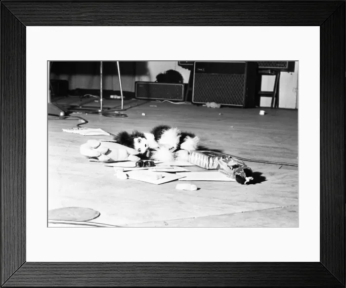 Framed Print : The Beatles Autumn 1963 UK Tour, De Montfort Hall, Leicester, Sunday 1st December 1963 Framed Print : The Beatles Autumn 1963 UK Tour, De Montfort Hall, Leicester, Sunday 1st December 1963