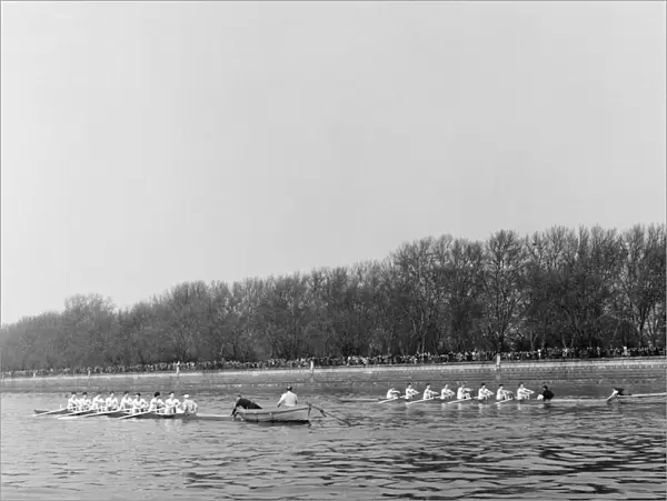 The Boat Race, Cambridge v Oxford. 1957. Pictured at the start of the race
