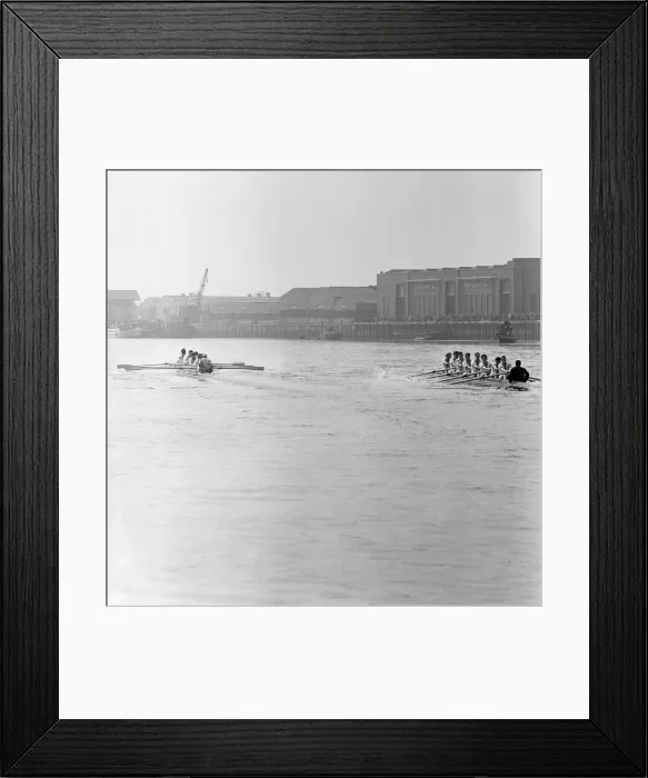 Framed Print : The Boat Race, Cambridge v Oxford. 1957. The race was held from the starting Framed Print : The Boat Race, Cambridge v Oxford. 1957. The race was held from the starting