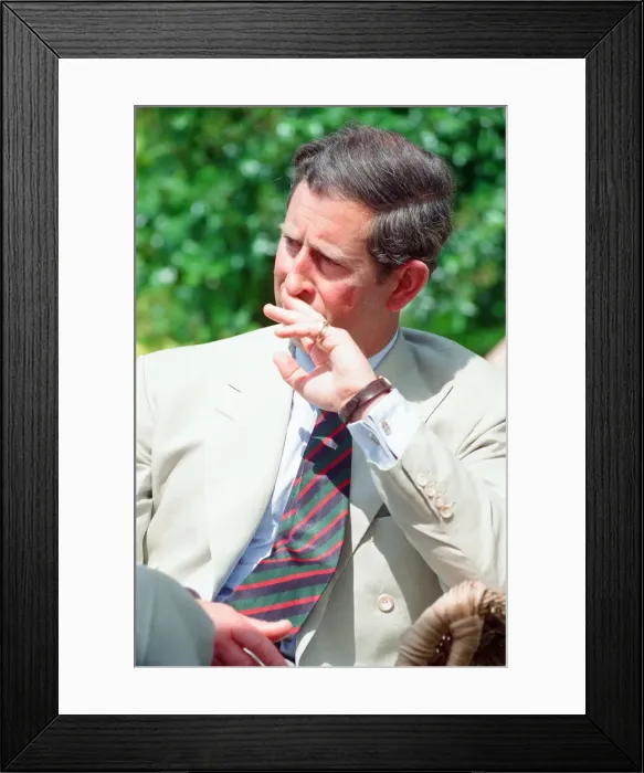 Framed Print : Prince Charles, is interviewed by members of the welsh press Framed Print : Prince Charles, is interviewed by members of the welsh press