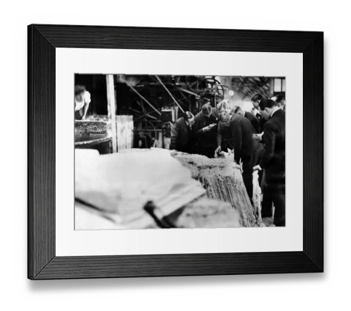 Framed Print : Visitors to the Aylesford Paper Mills, near Maidstone, Kent Framed Print : Visitors to the Aylesford Paper Mills, near Maidstone, Kent