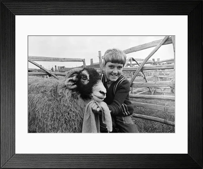 Framed Print : A boy at Stokesley show. Stokesley, North Yorkshire. 1973