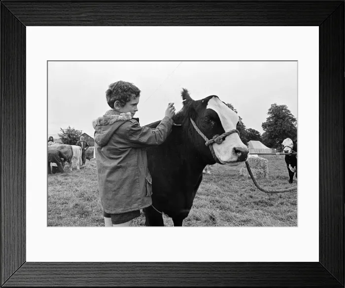Framed Print : A boy at Stokesley show. Stokesley, North Yorkshire. 1973 Framed Print : A boy at Stokesley show. Stokesley, North Yorkshire. 1973