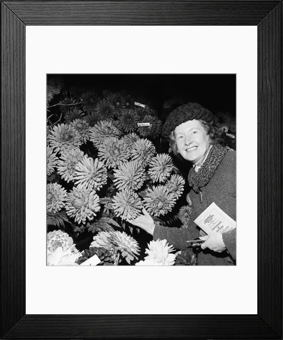 Framed Print : Stokesley show, lady with flowers. 1973 Framed Print : Stokesley show, lady with flowers. 1973