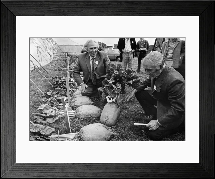 Framed Print : Stokesley show, men looking at vegetables 1973 Framed Print : Stokesley show, men looking at vegetables 1973