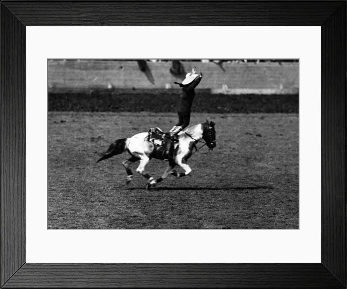 Framed Print : Rodeo cowgirl on a galloping bronco at Wembley. 14th June 1924 Framed Print : Rodeo cowgirl on a galloping bronco at Wembley. 14th June 1924