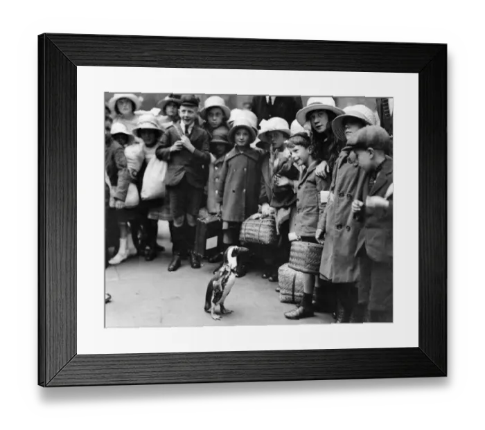 Framed Print : The Daily Mirror Pets. Squeak with the pets happy guests at Liverpool Street Station Framed Print : The Daily Mirror Pets. Squeak with the pets happy guests at Liverpool Street Station