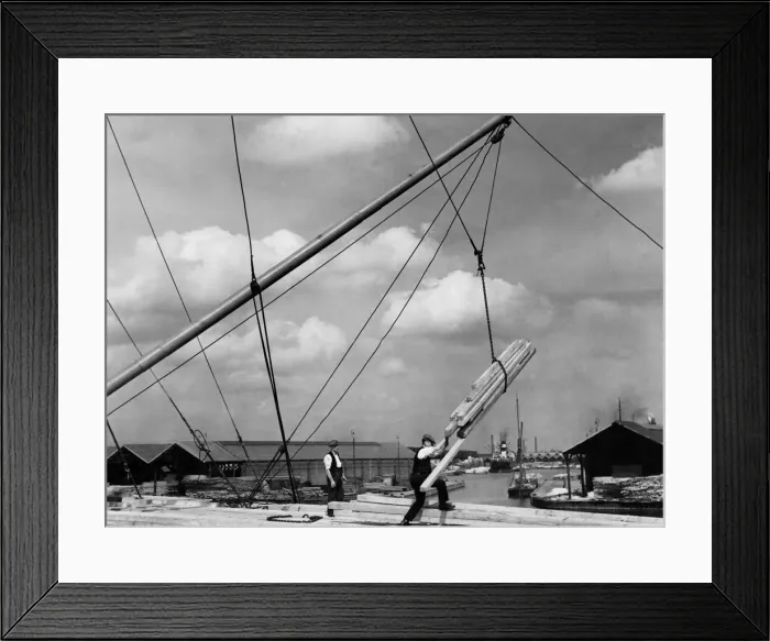 Framed Print : Stevedores unloading 6000 tons of Empire wood, Douglas Fir and Oregon Pine Framed Print : Stevedores unloading 6000 tons of Empire wood, Douglas Fir and Oregon Pine