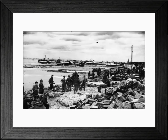 Framed Print : British troops unloading their Artillery, Ammunition in Normandy. 14th June 1944 Framed Print : British troops unloading their Artillery, Ammunition in Normandy. 14th June 1944