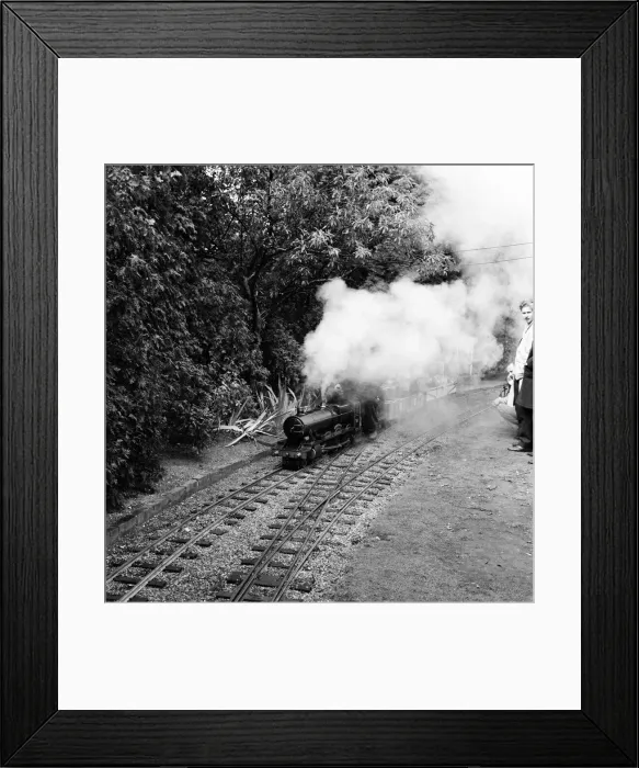 Framed Print : Railway enthusiasts at the miniature railway at Greywood