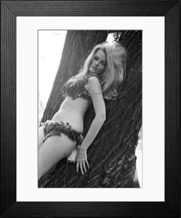 Framed Print : Celeste Yarnall, American actress, Regents Park, London, Wednesday 16th August 1967 Framed Print : Celeste Yarnall, American actress, Regents Park, London, Wednesday 16th August 1967