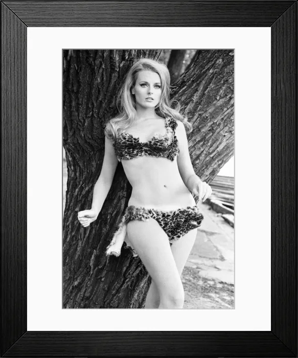 Framed Print : Celeste Yarnall, American actress, Regents Park, London, Wednesday 16th August 1967 Framed Print : Celeste Yarnall, American actress, Regents Park, London, Wednesday 16th August 1967