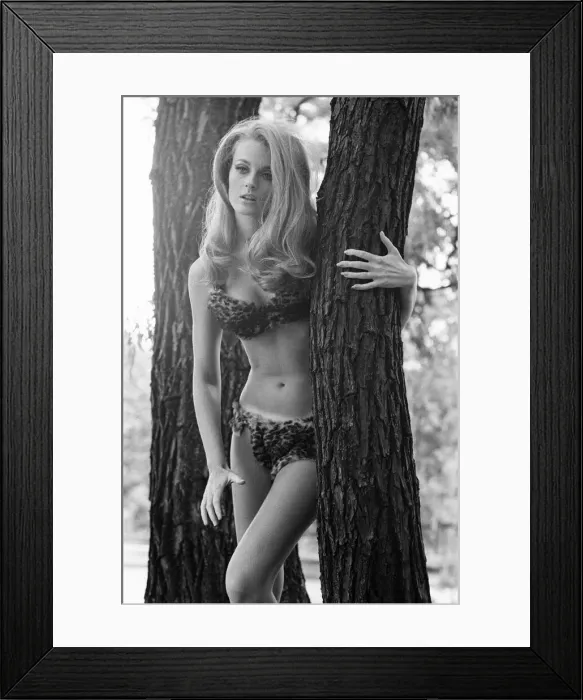 Framed Print : Celeste Yarnall, American actress, Regents Park, London, Wednesday 16th August 1967 Framed Print : Celeste Yarnall, American actress, Regents Park, London, Wednesday 16th August 1967