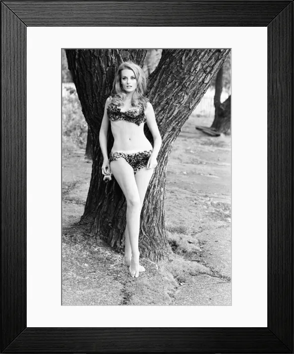 Framed Print : Celeste Yarnall, American actress, Regents Park, London, Wednesday 16th August 1967 Framed Print : Celeste Yarnall, American actress, Regents Park, London, Wednesday 16th August 1967