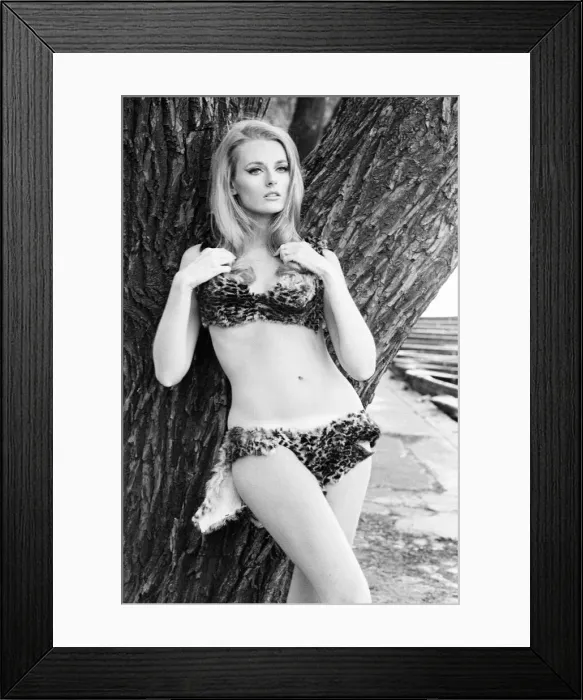 Framed Print : Celeste Yarnall, American actress, Regents Park, London, Wednesday 16th August 1967 Framed Print : Celeste Yarnall, American actress, Regents Park, London, Wednesday 16th August 1967