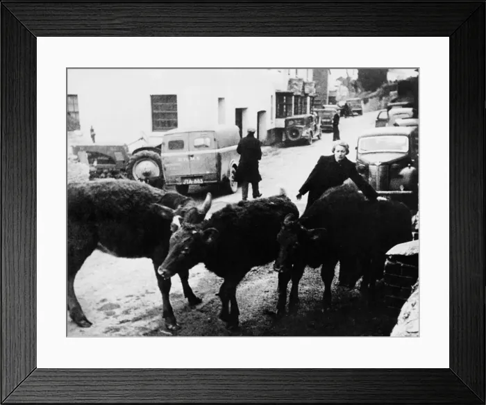 Framed Print : South Hams Evacuation. On the November the 4th Devon County Council were informed Framed Print : South Hams Evacuation. On the November the 4th Devon County Council were informed
