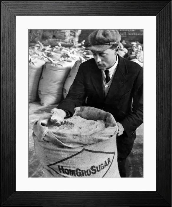Framed Print : Beet sugar factory at Newark, Nottinghamshire. Sugar of splendid quality is made Framed Print : Beet sugar factory at Newark, Nottinghamshire. Sugar of splendid quality is made