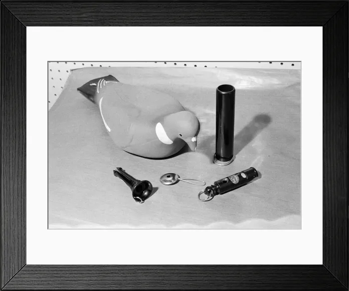 Framed Print : Photographs to illustrate the Christmas carol The Twelve Days of Christmas
