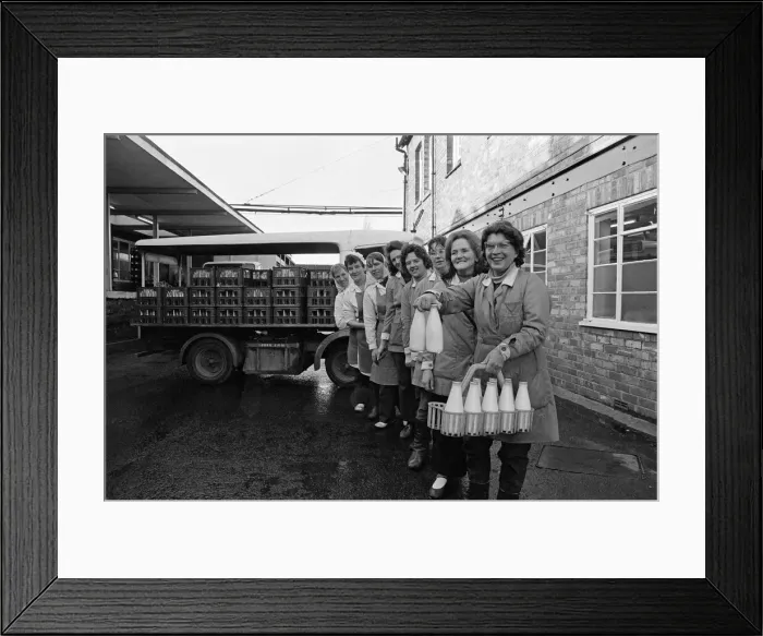 Framed Print : Photographs to illustrate the Christmas carol The Twelve Days of Christmas Framed Print : Photographs to illustrate the Christmas carol The Twelve Days of Christmas