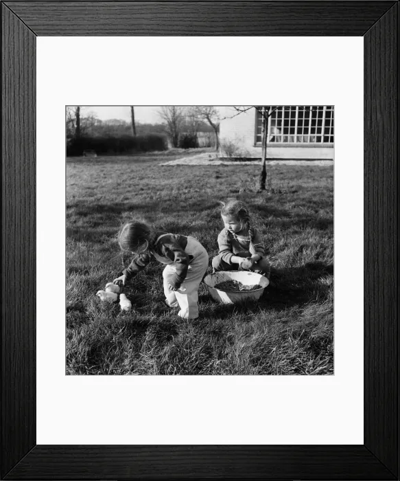 Framed Print : Sisters Mary (left) and Ann Weller playing with baby chicks at Downley Hill Farm Framed Print : Sisters Mary (left) and Ann Weller playing with baby chicks at Downley Hill Farm