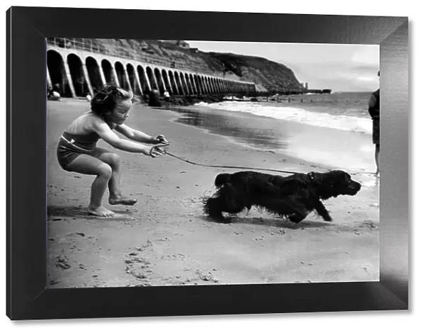 Seaside Holidays  /  Children with Animals Dog young Judy Early tries to control her