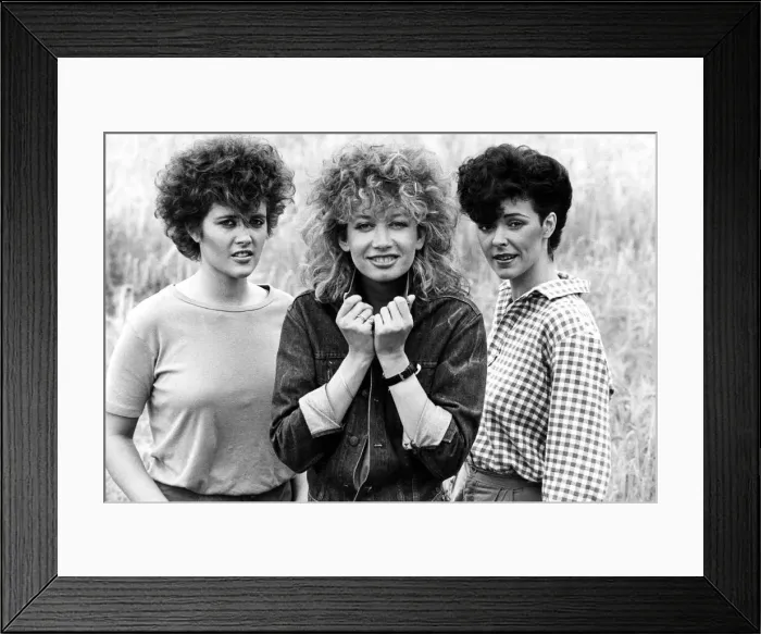 Framed Print : Ladies womens hairstyles - hairdressing salons - barber Framed Print : Ladies womens hairstyles - hairdressing salons - barber
