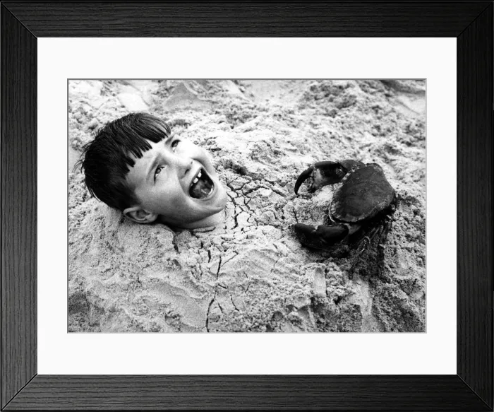 Framed Print : Children on the beach - Young boy burried in the sand with just his head out Framed Print : Children on the beach - Young boy burried in the sand with just his head out