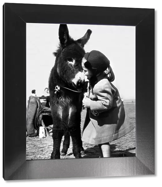 Holidays - Children with Animals Donkey Dorothy 4 Years old with a young Donkey