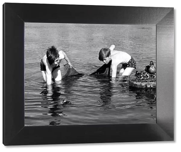 Children with Ducks Two boys fishing with a towel as a net - encounter a family of