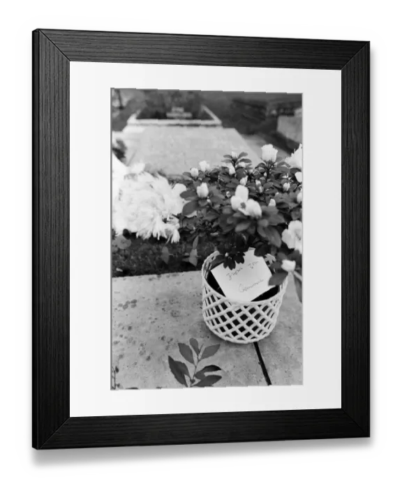 Framed Print : A floral tribute to Winston Churchill. Memorial service, at Bladon Church, Oxon Framed Print : A floral tribute to Winston Churchill. Memorial service, at Bladon Church, Oxon