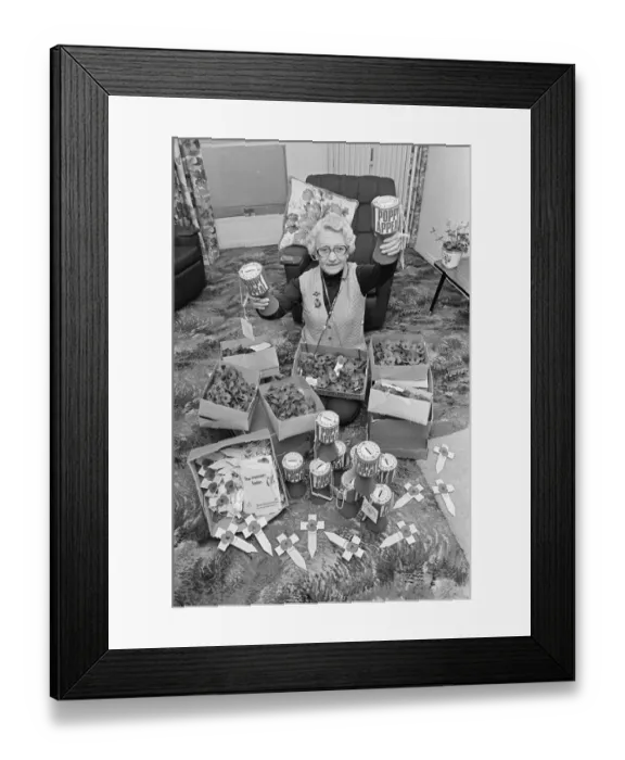 Framed Print : Volunteer Poppy Seller prepares for the Poppy Appeal, Middlesbrough, Teesside Framed Print : Volunteer Poppy Seller prepares for the Poppy Appeal, Middlesbrough, Teesside