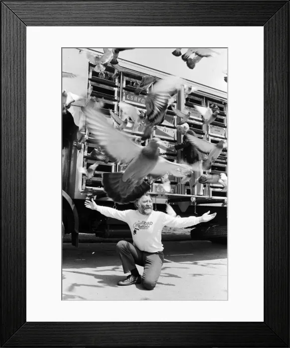 Framed Print : David Bellamy at the opening of The Celebrity Bird Garden at Chessington Zoo Framed Print : David Bellamy at the opening of The Celebrity Bird Garden at Chessington Zoo