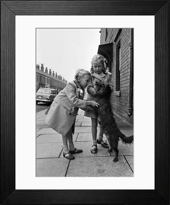 Framed Print : The seven year old Pollock twins of Whitley Bay, Gillian and Jennifer Framed Print : The seven year old Pollock twins of Whitley Bay, Gillian and Jennifer