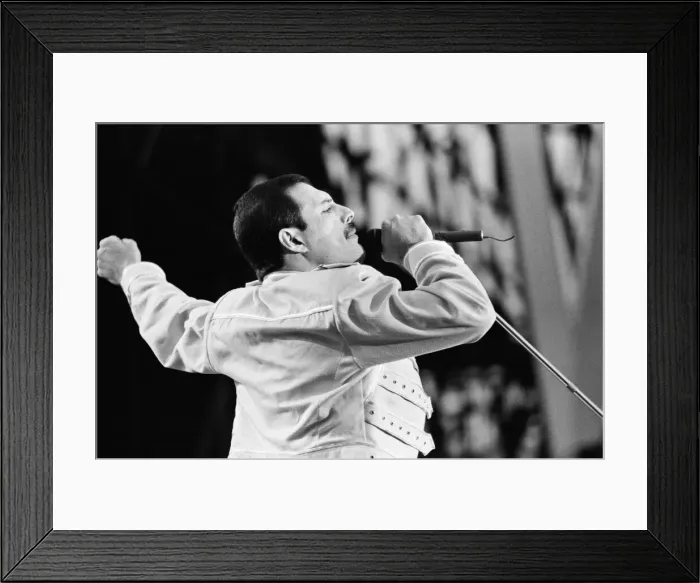 Framed Print : Queen (rock group) perform at St James Park, Stadium, Newcastle, England Framed Print : Queen (rock group) perform at St James Park, Stadium, Newcastle, England