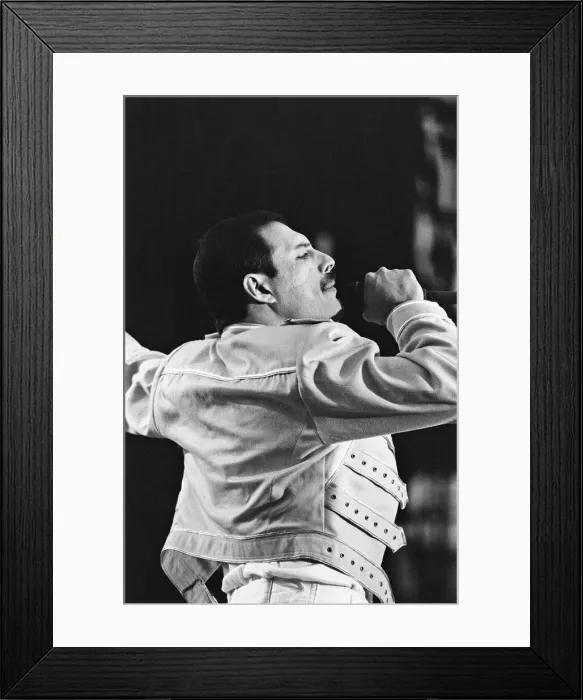 Framed Print : Queen (rock group) perform at St James Park, Stadium, Newcastle, England Framed Print : Queen (rock group) perform at St James Park, Stadium, Newcastle, England
