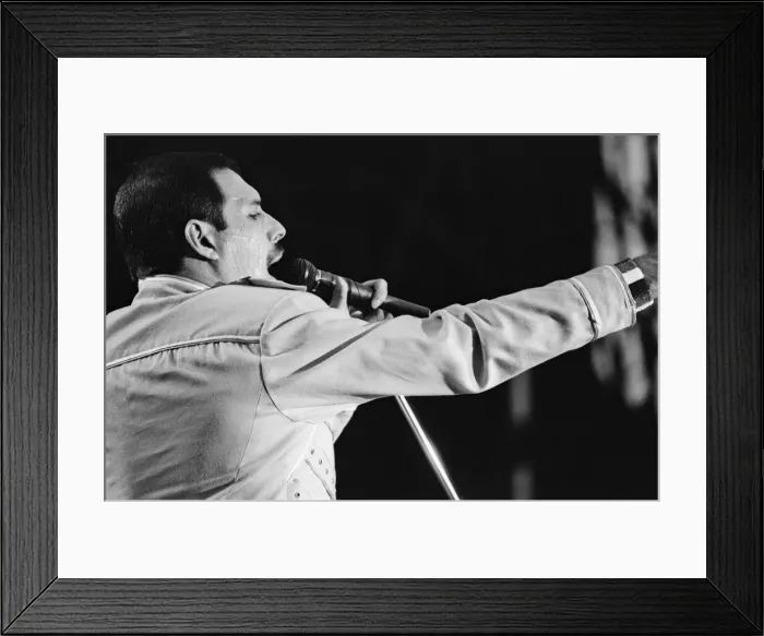 Framed Print : Queen (rock group) perform at St James Park, Stadium, Newcastle, England Framed Print : Queen (rock group) perform at St James Park, Stadium, Newcastle, England